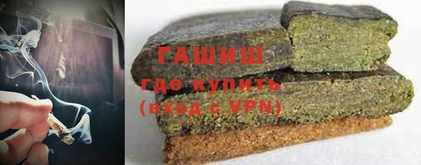 индика Горнозаводск