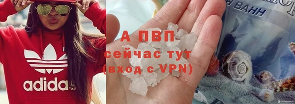 индика Горнозаводск