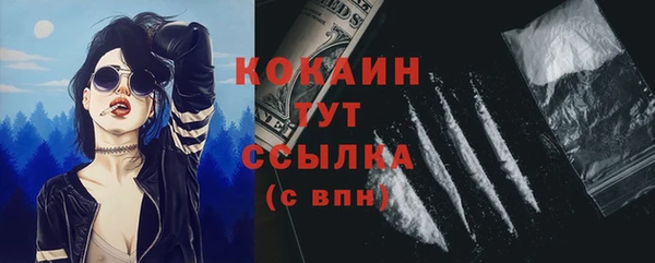 индика Горнозаводск