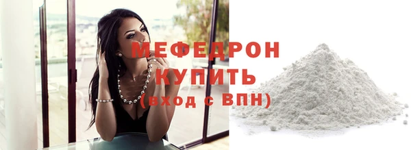 индика Горнозаводск