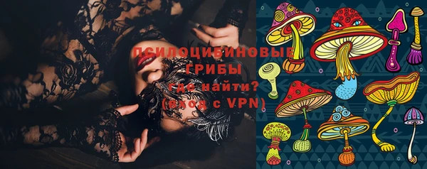 индика Горнозаводск