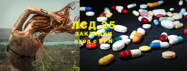 мяу мяу мука Горно-Алтайск