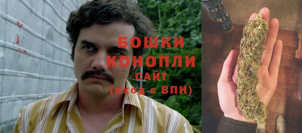 индика Горнозаводск