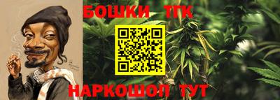 молекула духа Обнинск